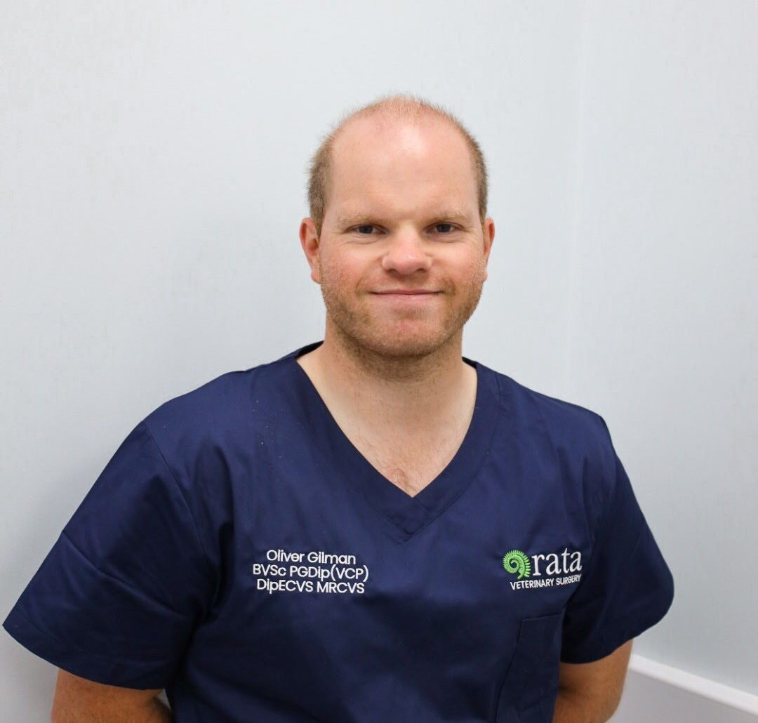 Oli Gilman Vet